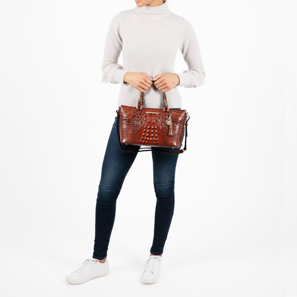 Brahmin Mini Asher Cappuccino Ombre Melbourne ID:Brahmin-202950