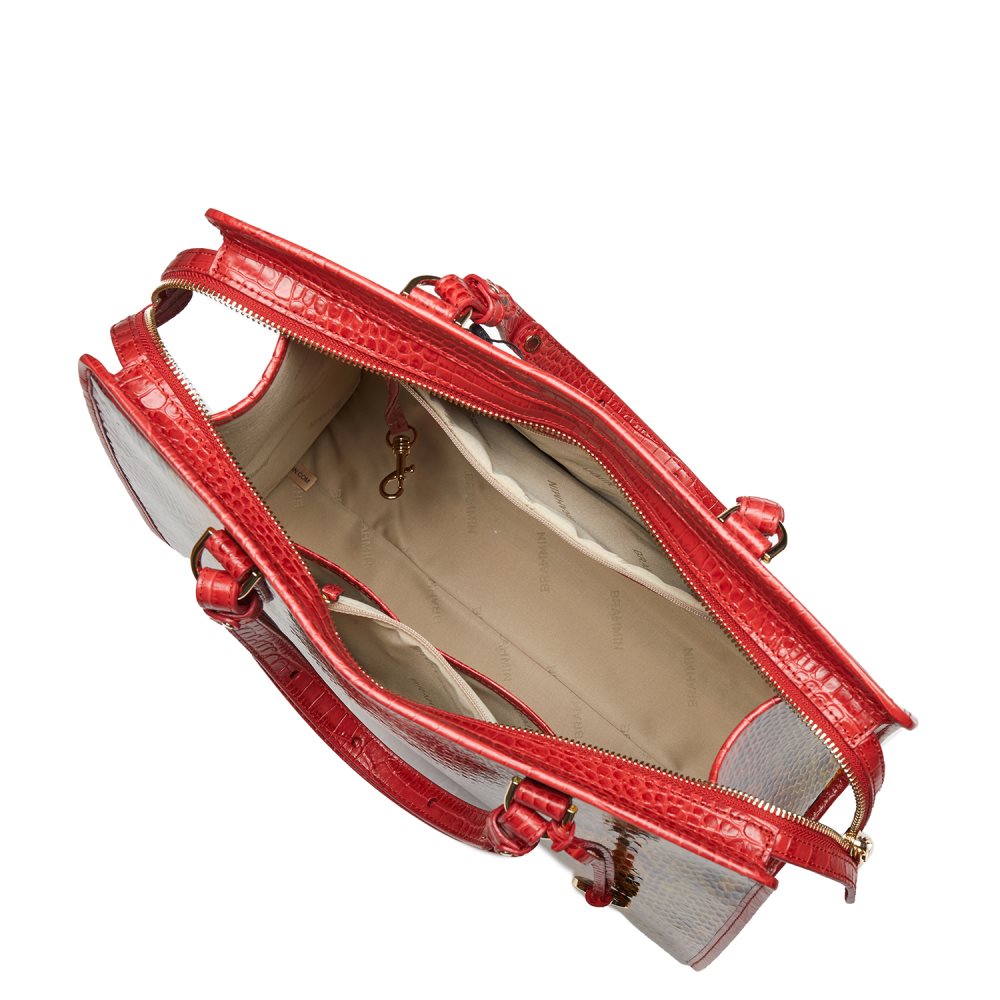Brahmin Tia Red Dragon Experium ID:Brahmin-202517