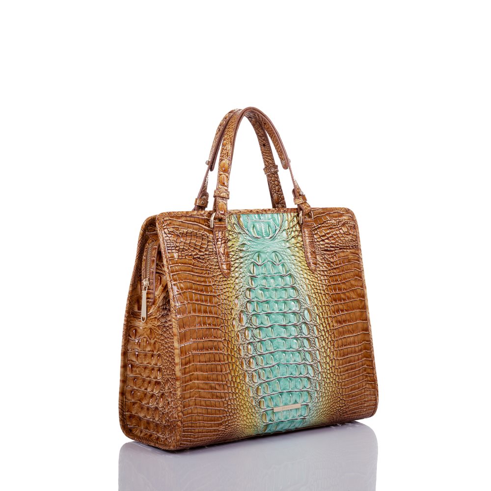 Brahmin Tia Cactus Ombre Melbourne ID:Brahmin-202722