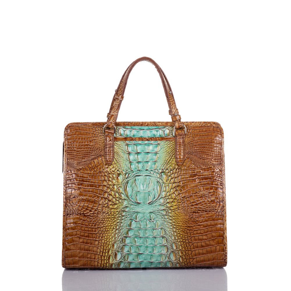 Brahmin Tia Cactus Ombre Melbourne ID:Brahmin-202722