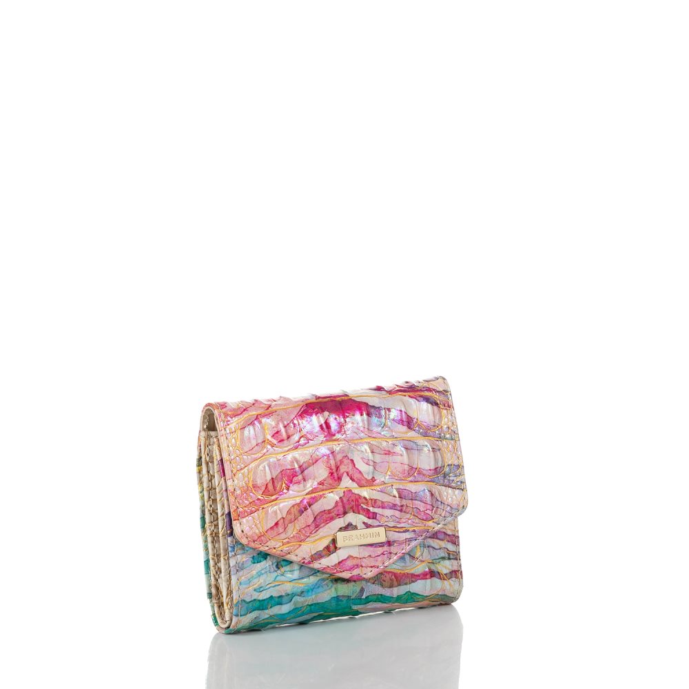 Brahmin Small Veronica Entice Ombre Melbourne ID:Brahmin-203686