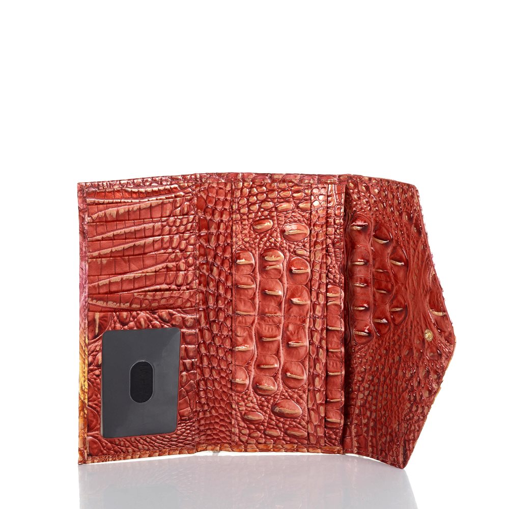 Brahmin Veronica Glam Ombre Melbourne ID:Brahmin-203702