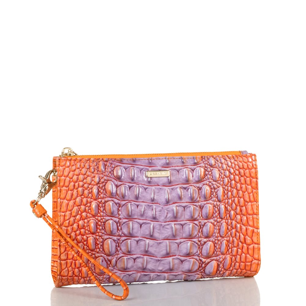 Brahmin Daisy Daiquiri Ombre Melbourne ID:Brahmin-203258