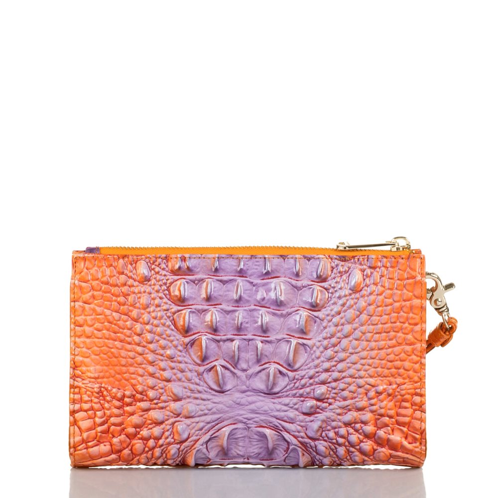 Brahmin Daisy Daiquiri Ombre Melbourne ID:Brahmin-203258
