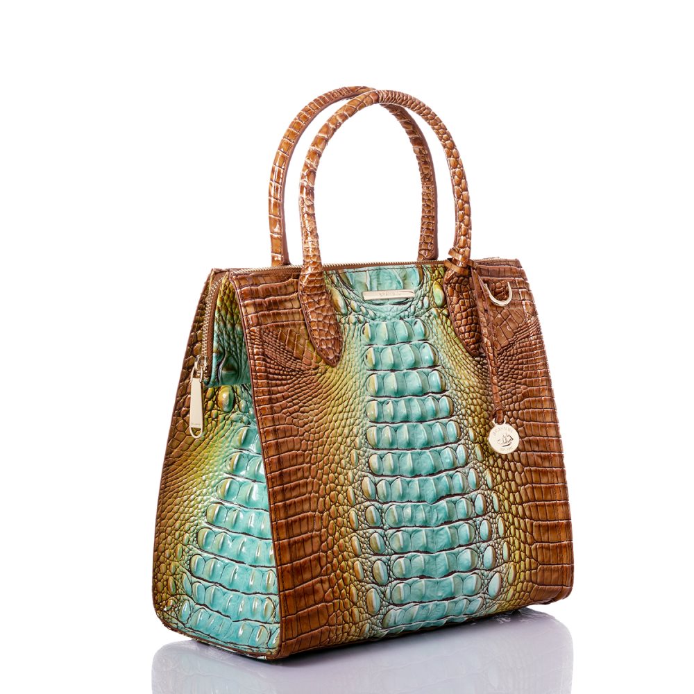 Brahmin Caroline Cactus Ombre Melbourne ID:Brahmin-203130