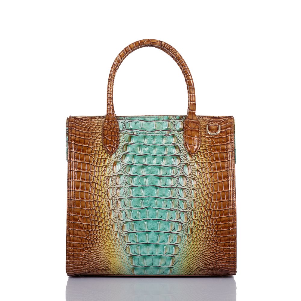 Brahmin Caroline Cactus Ombre Melbourne ID:Brahmin-203130