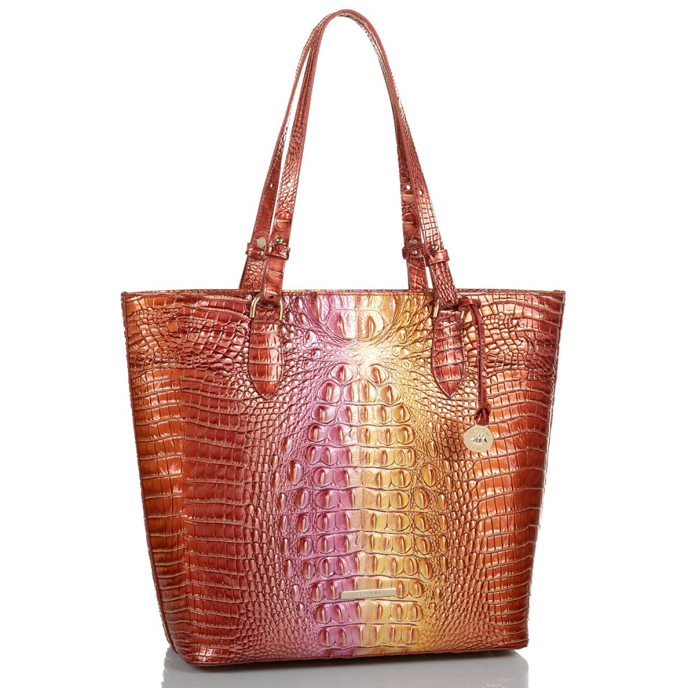 Brahmin Ellen Glam Ombre Melbourne ID:Brahmin-202846