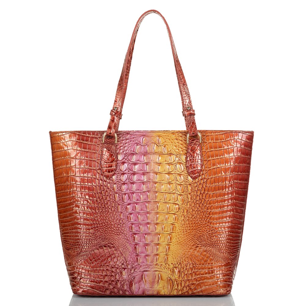 Brahmin Ellen Glam Ombre Melbourne ID:Brahmin-202846