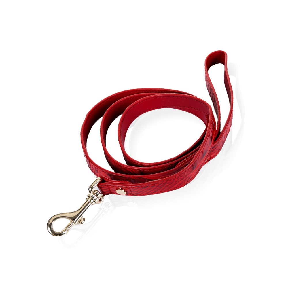 Brahmin Medium Pet Leash Carnation Melbourne ID:Brahmin-203591