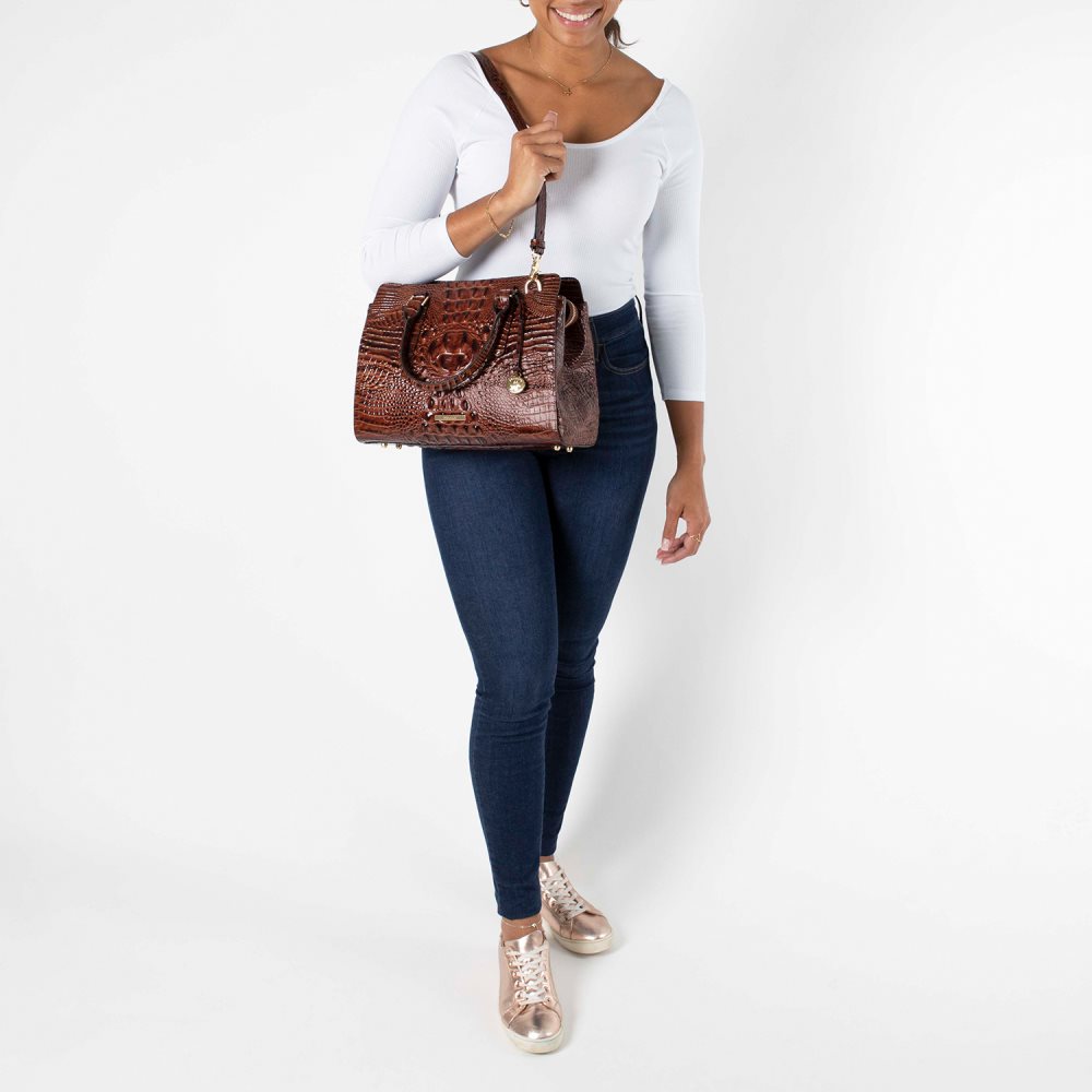 Brahmin Small Finley Seafoam Ombre Melbourne ID:Brahmin-203221