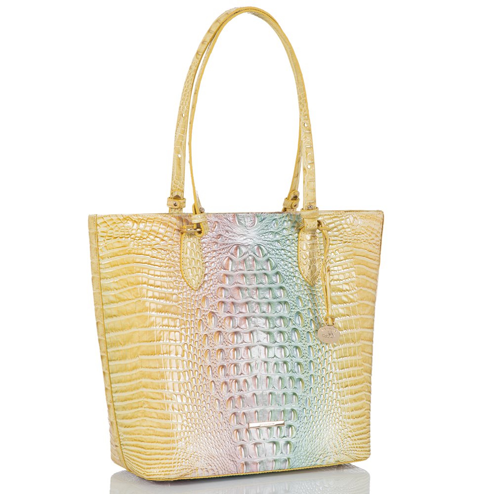 Brahmin Ellen Daybreak Ombre Melbourne ID:Brahmin-202849