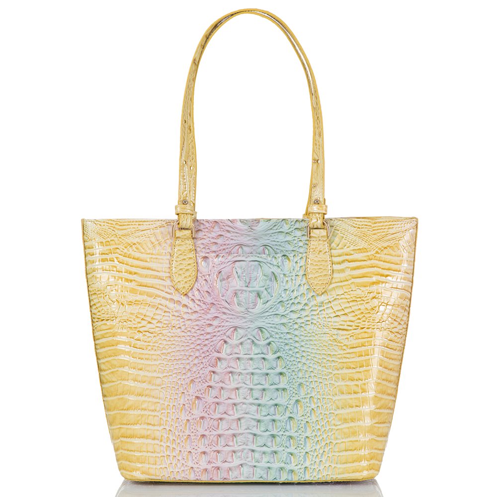 Brahmin Ellen Daybreak Ombre Melbourne ID:Brahmin-202849
