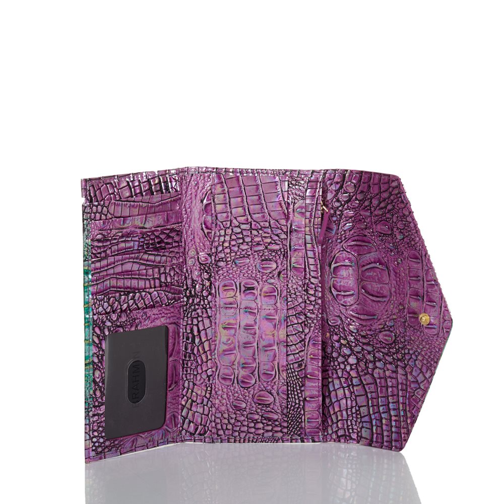 Brahmin Veronica Hyacinth Ombre Mini Melbourne ID:Brahmin-203708