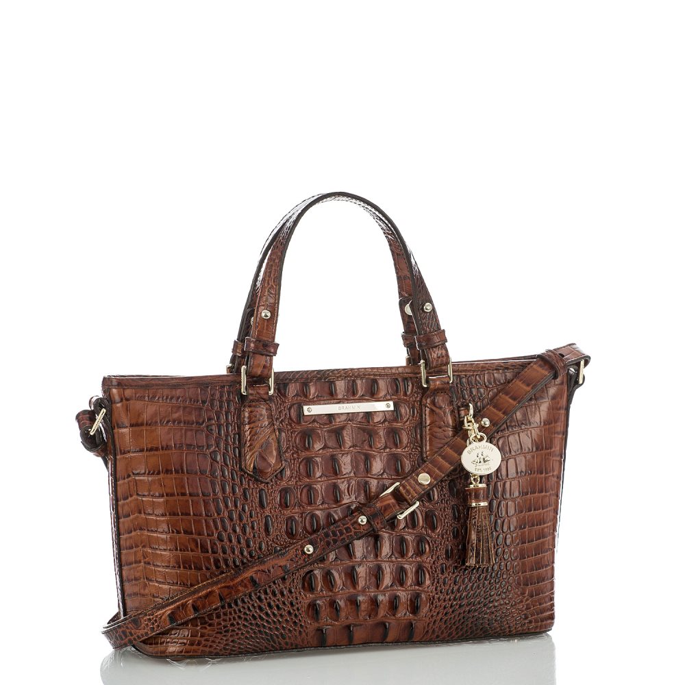 Brahmin Mini Asher Pecan Melbourne ID:Brahmin-202999