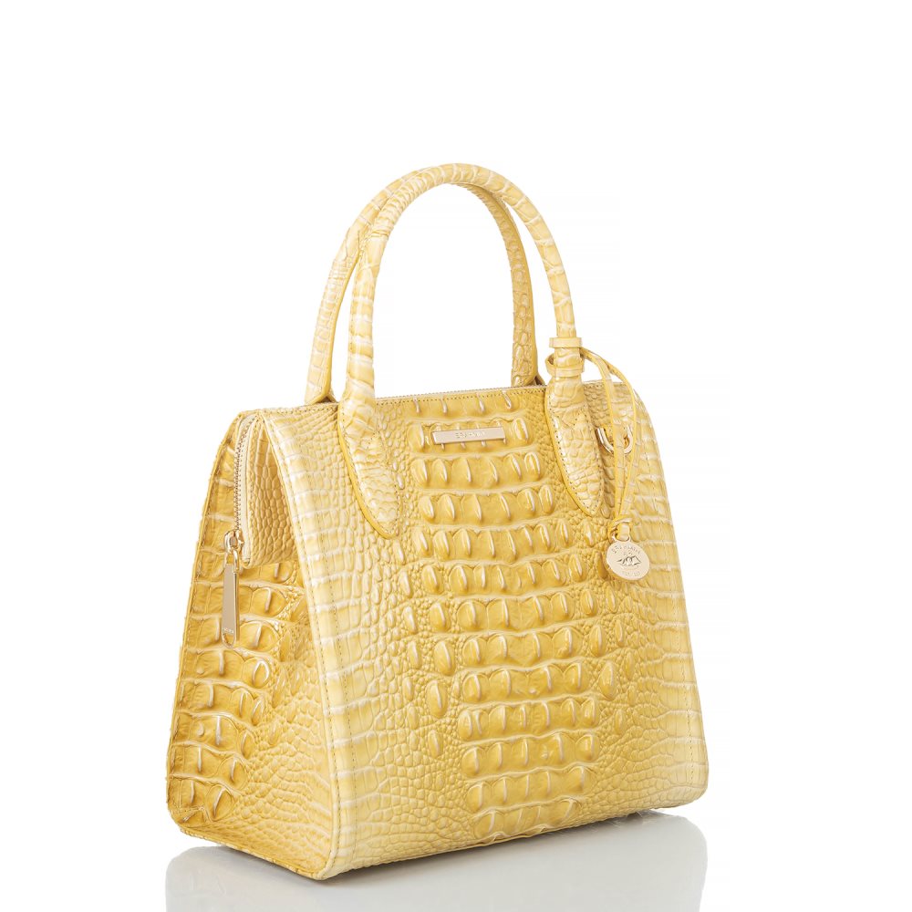 Brahmin Small Caroline Butter Melbourne ID:Brahmin-203170