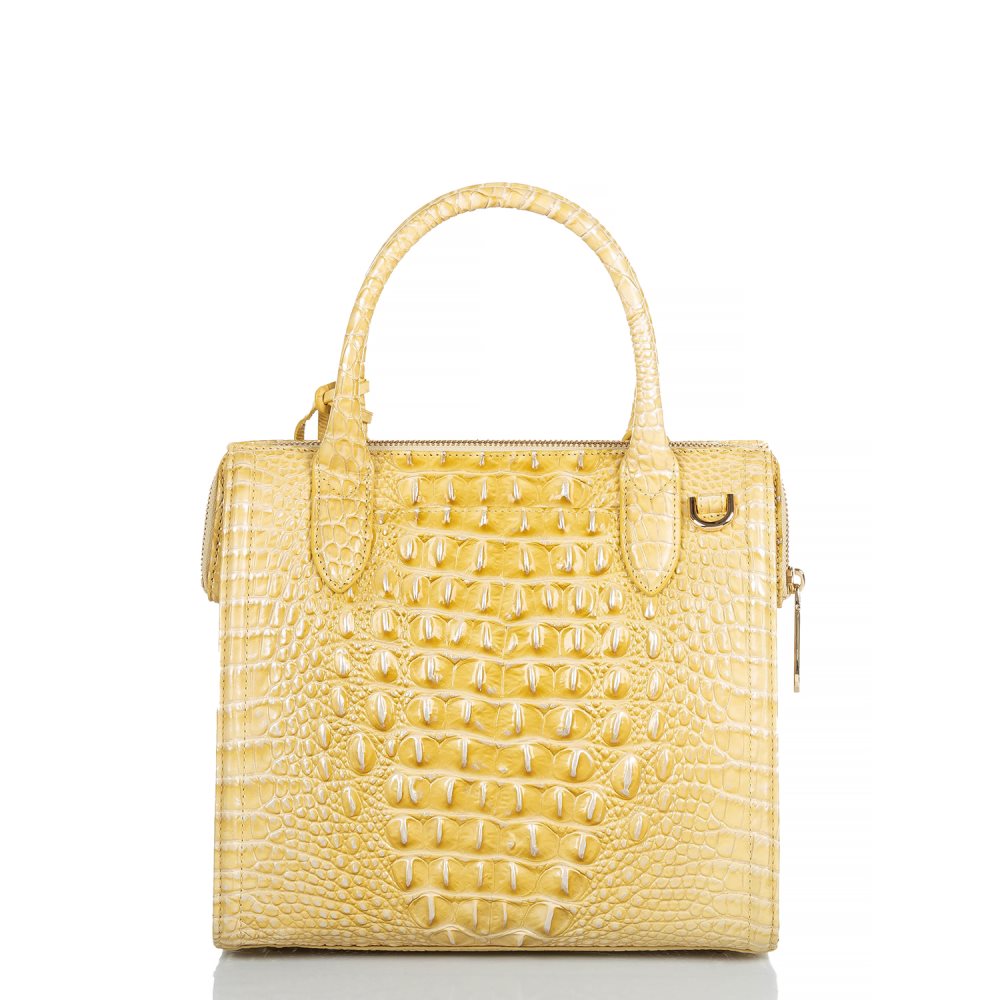 Brahmin Small Caroline Butter Melbourne ID:Brahmin-203170