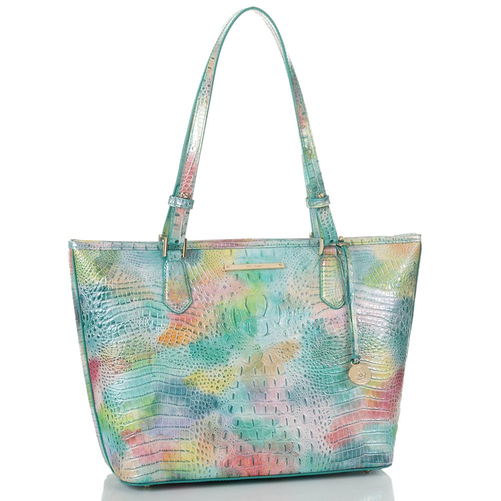 Brahmin Medium Asher Gelato Mini Melbourne ID:Brahmin-202797