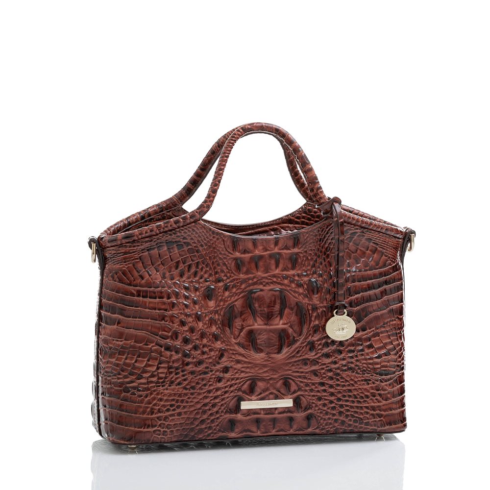 Brahmin Small Elaine Pecan Melbourne ID:Brahmin-203417