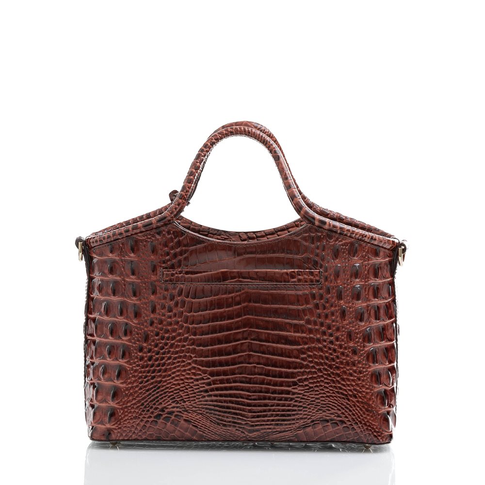 Brahmin Small Elaine Pecan Melbourne ID:Brahmin-203417