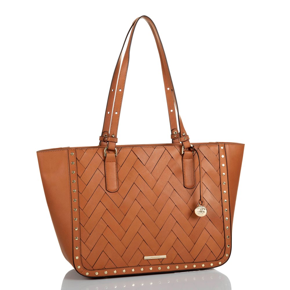 Brahmin Ashlee Tan Nelani ID:Brahmin-202520