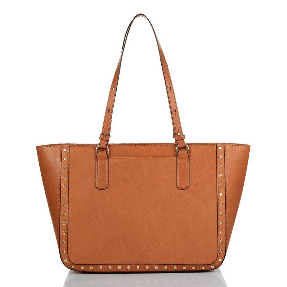 Brahmin Ashlee Tan Nelani ID:Brahmin-202520