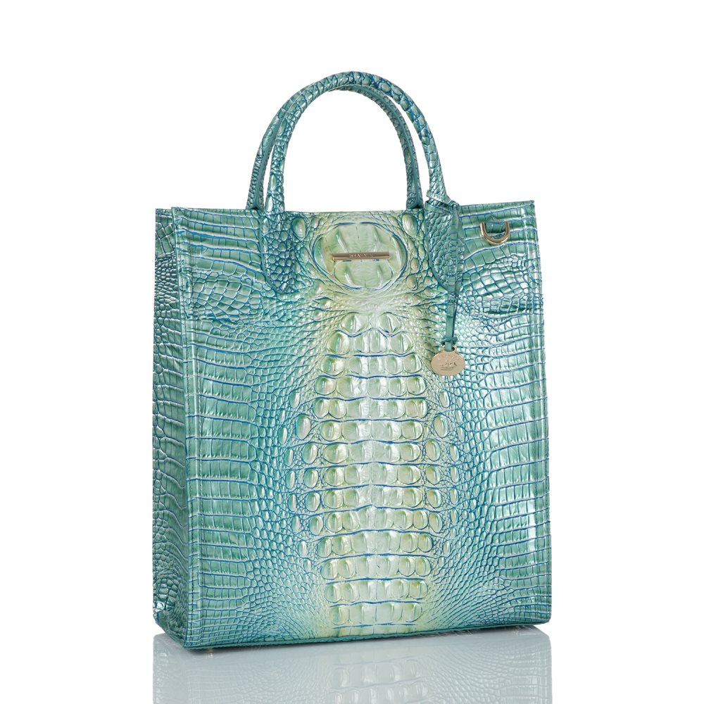 Brahmin Monique Seafoam Ombre Melbourne ID:Brahmin-202820