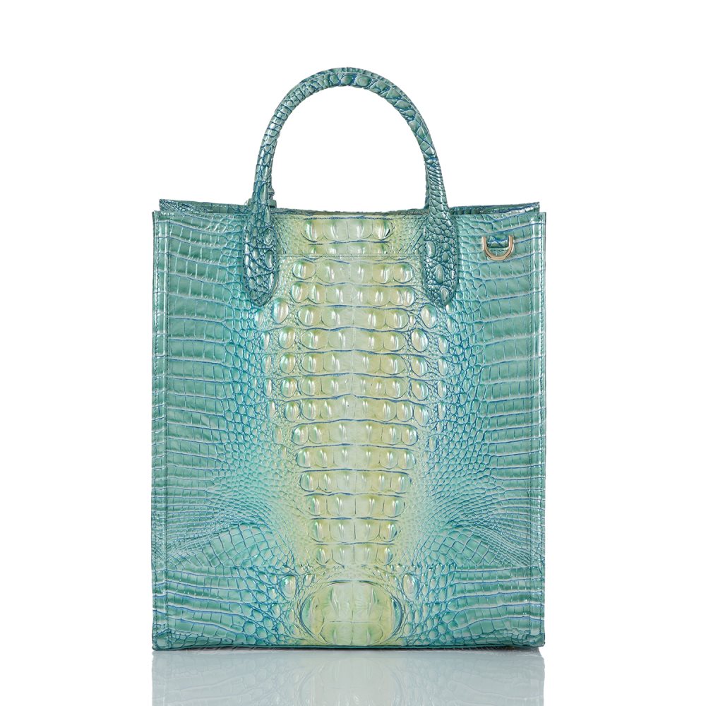 Brahmin Monique Seafoam Ombre Melbourne ID:Brahmin-202820