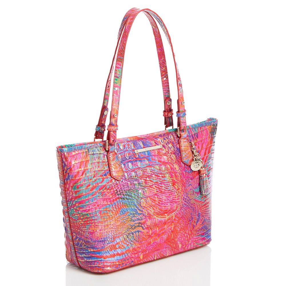 Brahmin Medium Asher Rainbow Fish Melbourne ID:Brahmin-202770