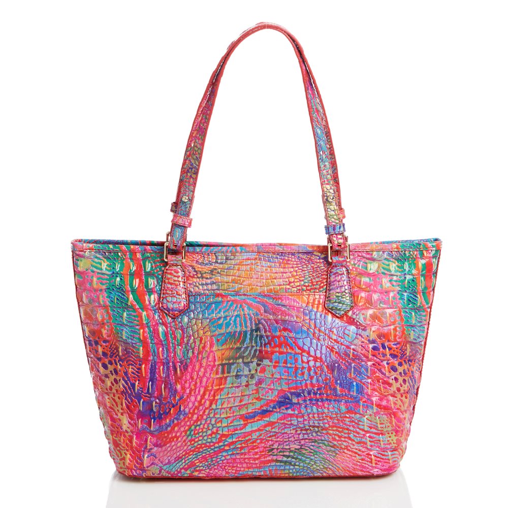 Brahmin Medium Asher Rainbow Fish Melbourne ID:Brahmin-202770