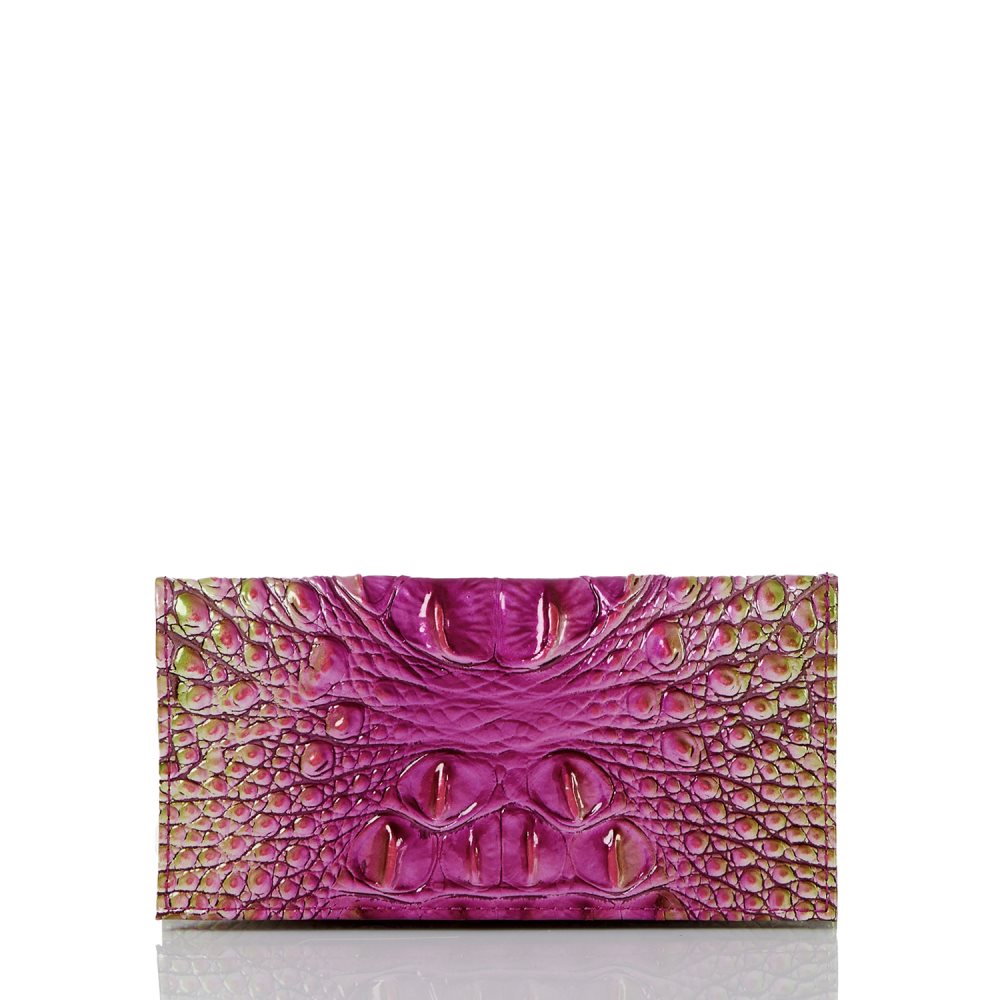 Brahmin Cordelia Checkbook Limeade Ombre Melbourne ID:Brahmin-203712
