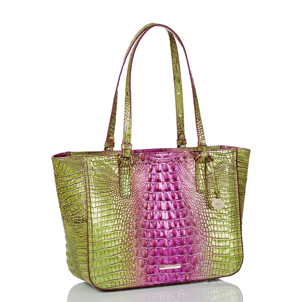 Brahmin Ashlee Limeade Ombre Melbourne ID:Brahmin-202837