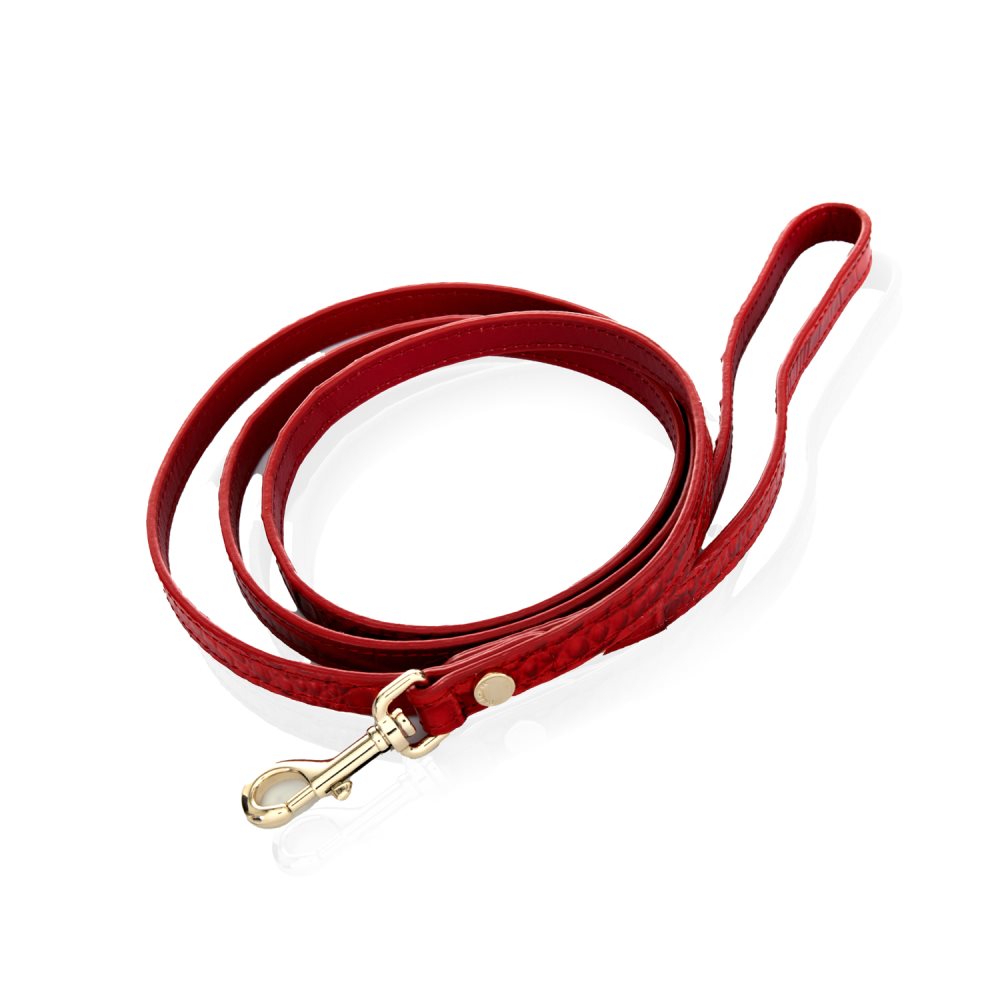 Brahmin Small Pet Leash Carnation Melbourne ID:Brahmin-203590