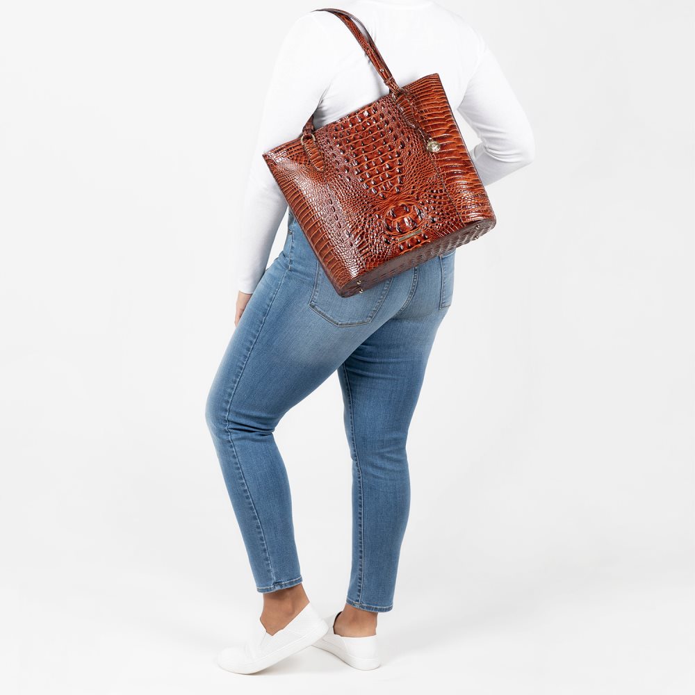 Brahmin Abigail Serenity Ombre Melbourne ID:Brahmin-202817