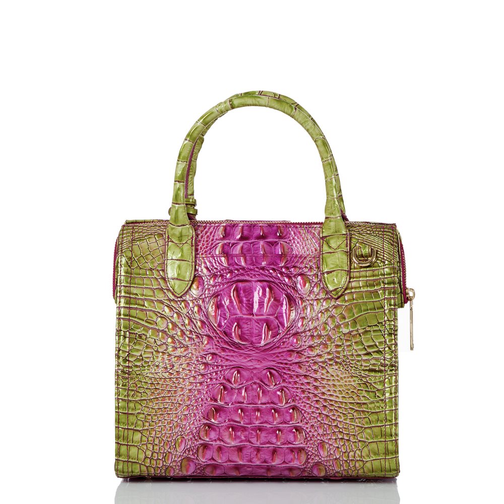 Brahmin Small Caroline Limeade Ombre Melbourne ID:Brahmin-203175