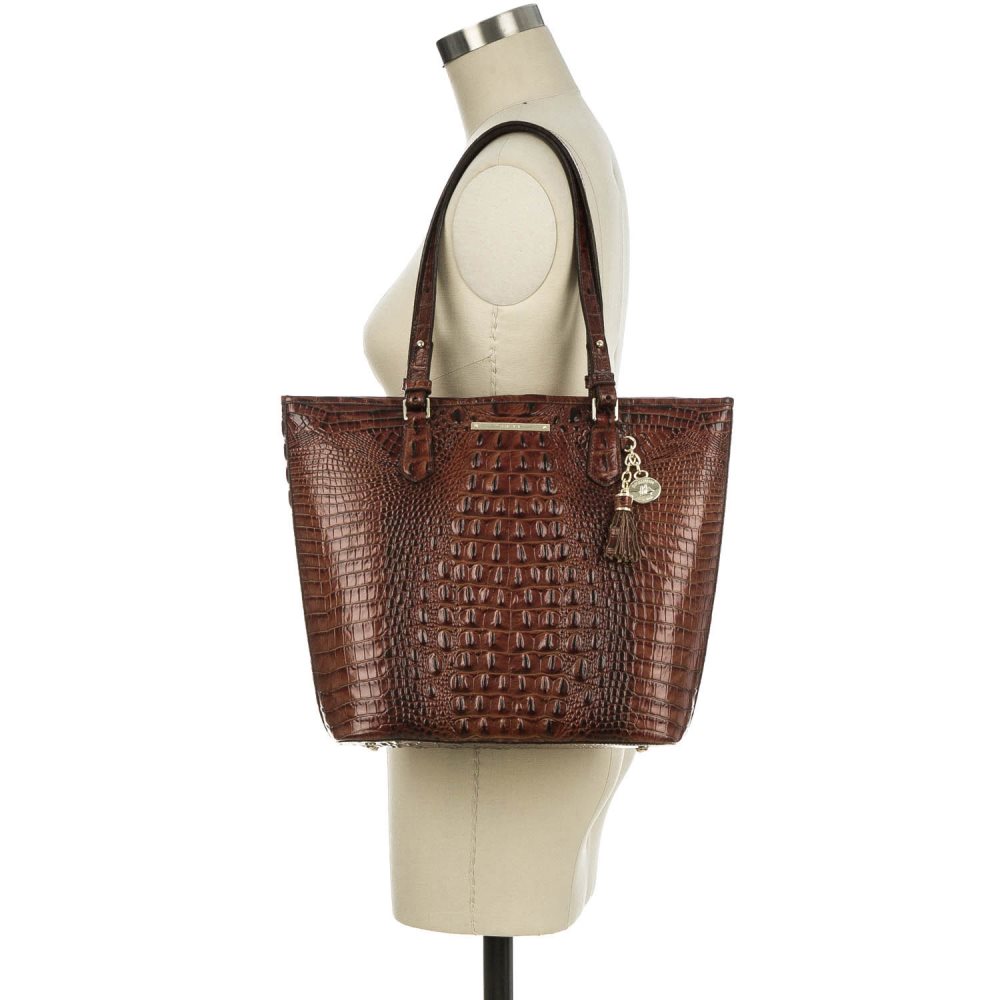 Brahmin Asher Cappuccino Delancy ID:Brahmin-202724