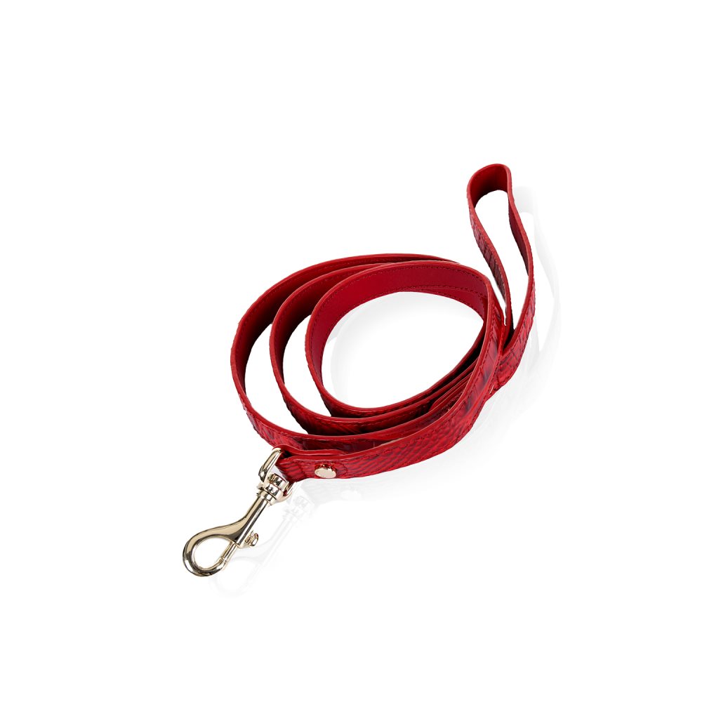 Brahmin Large Pet Leash Carnation Melbourne ID:Brahmin-203592
