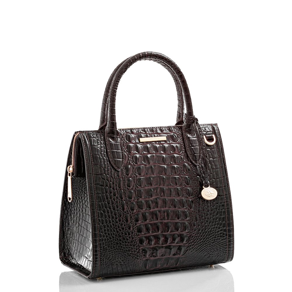 Brahmin Small Caroline Cocoa Ombre Melbourne ID:Brahmin-203171