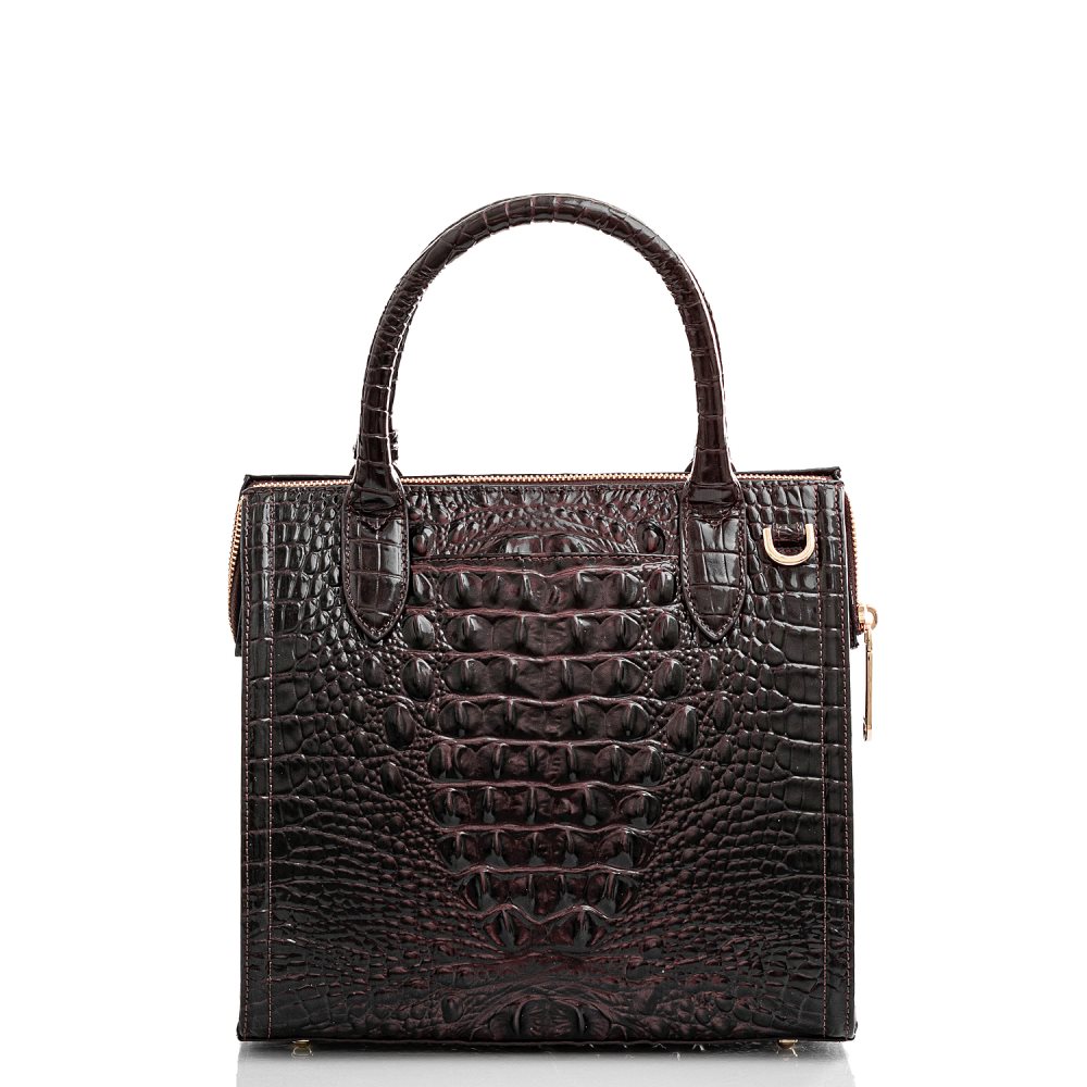 Brahmin Small Caroline Cocoa Ombre Melbourne ID:Brahmin-203171