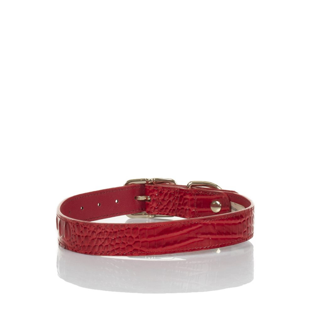 Brahmin Large Pet Collar Carnation Melbourne ID:Brahmin-203588