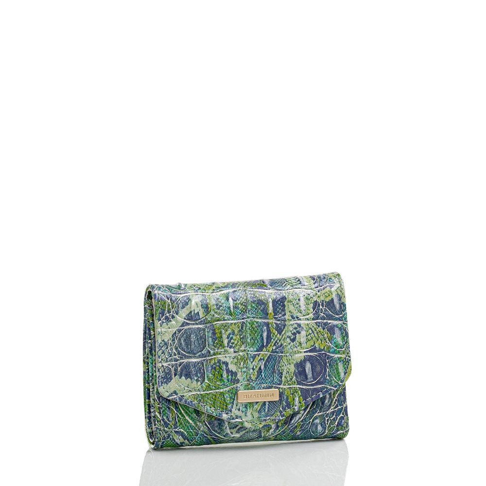 Brahmin Small Veronica Green Viper Melbourne ID:Brahmin-203704