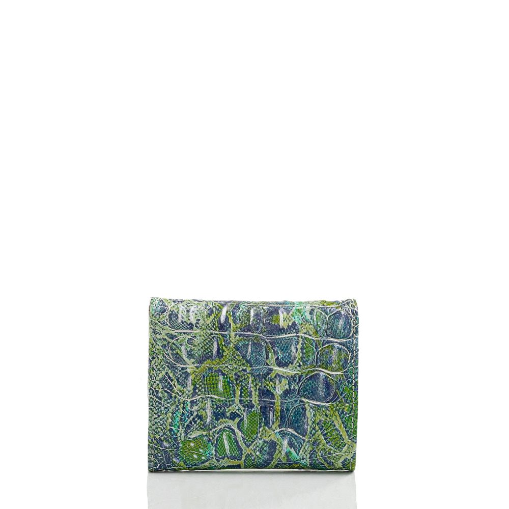 Brahmin Small Veronica Green Viper Melbourne ID:Brahmin-203704