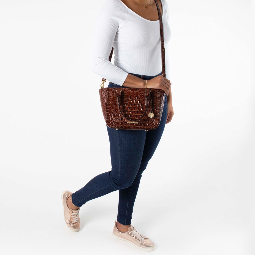 Brahmin Small Ashlee Neon Lights Mini Melbourne ID:Brahmin-203244