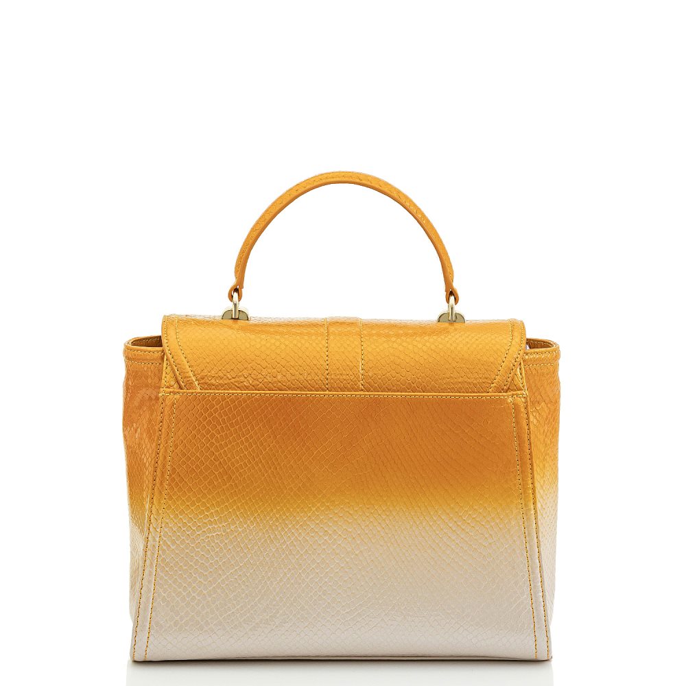Brahmin Ingrid Canary Por do Sol ID:Brahmin-202949