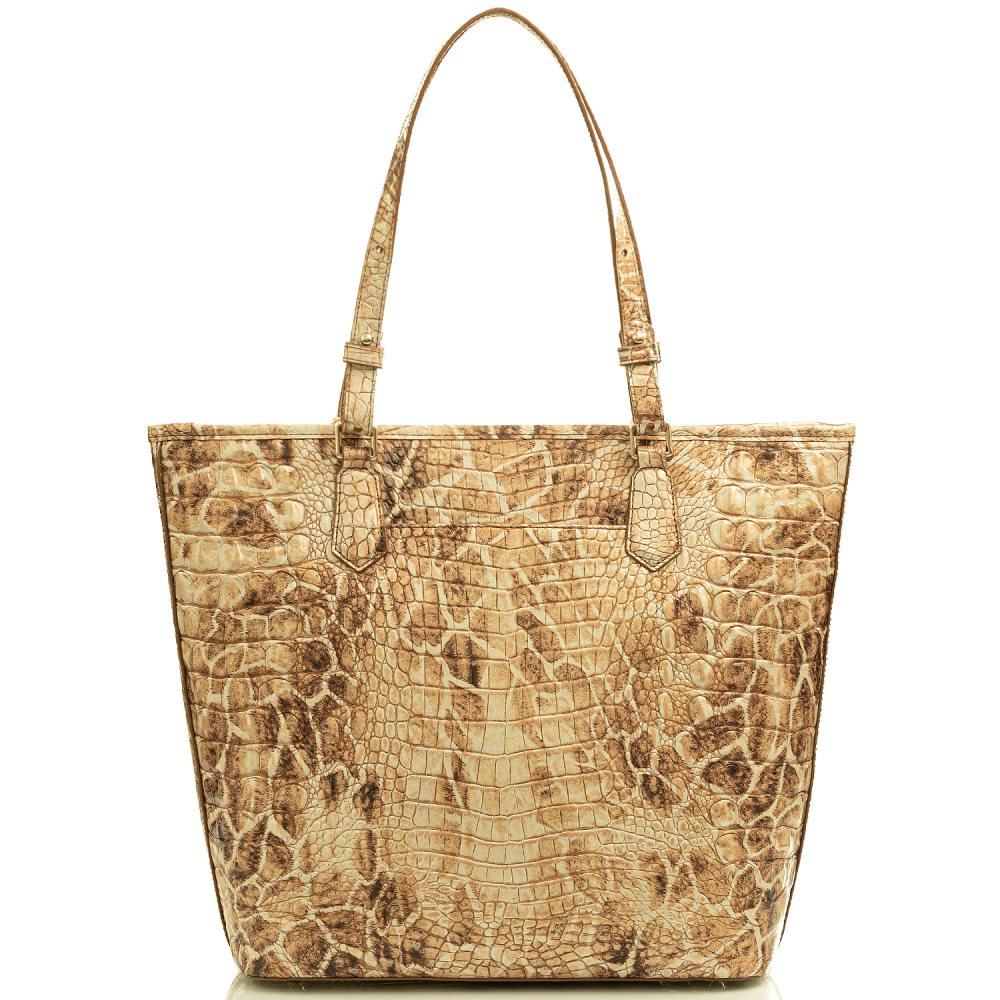 Brahmin Asher Camel Safari Melbourne ID:Brahmin-202723