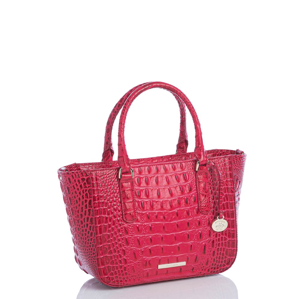 Brahmin Small Ashlee Sweetheart Ombre Melbourne ID:Brahmin-203235