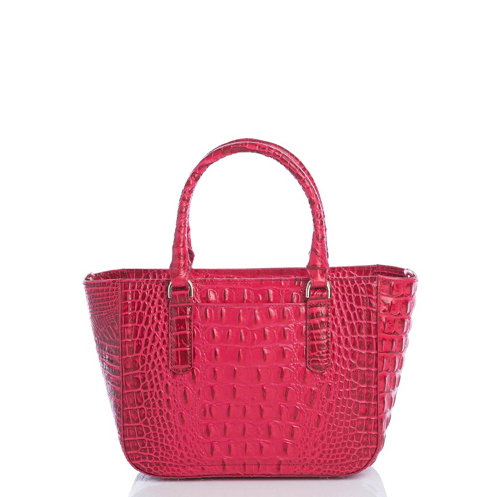 Brahmin Small Ashlee Sweetheart Ombre Melbourne ID:Brahmin-203235