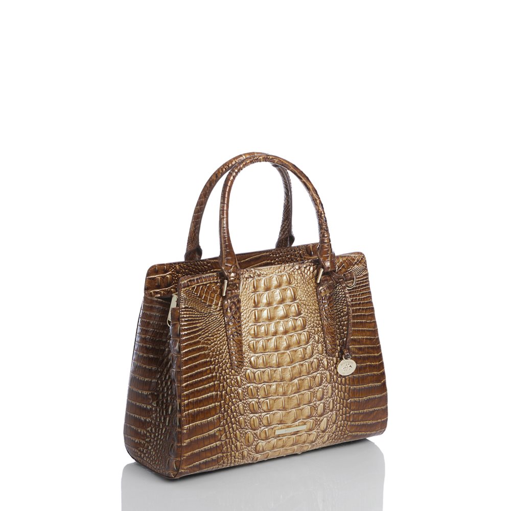 Brahmin Small Finley Teak Ombre Melbourne ID:Brahmin-203219