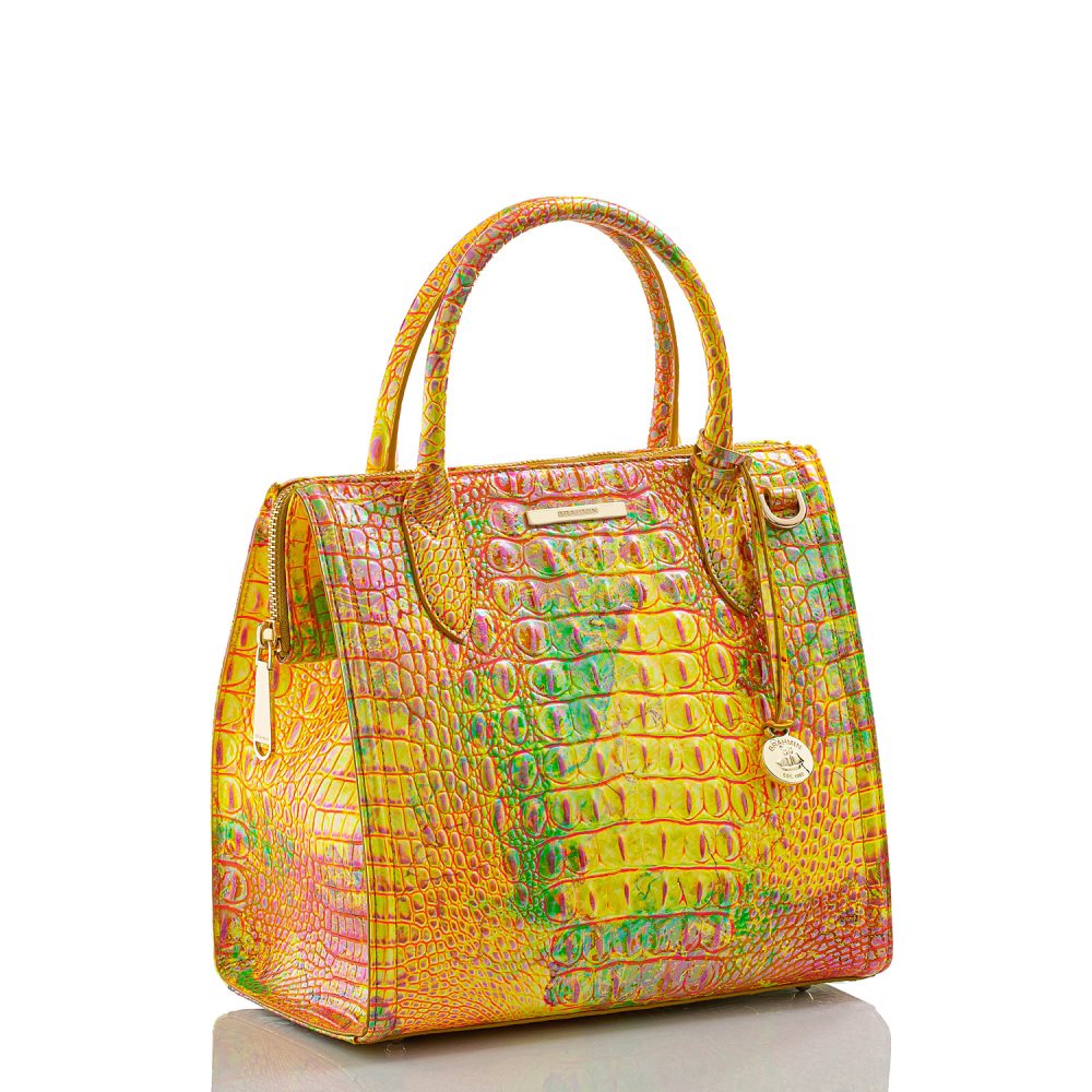 Brahmin Small Caroline Spritz Melbourne ID:Brahmin-203018