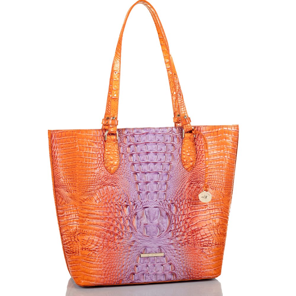 Brahmin Ellen Daiquiri Ombre Melbourne ID:Brahmin-202845