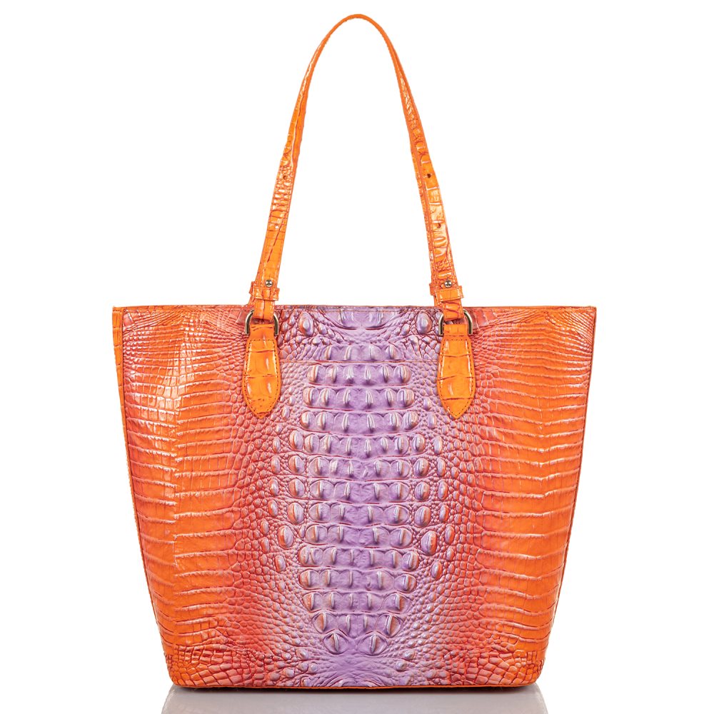 Brahmin Ellen Daiquiri Ombre Melbourne ID:Brahmin-202845
